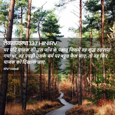 Picture 02 - लैव्यव्यवस्था 13:7 HINIRV - पर यदि याजक की उस - Bible Verse Picture