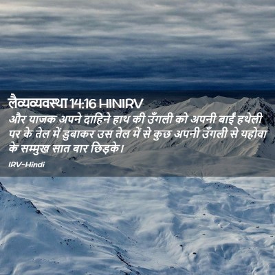 Picture 02 - लैव्यव्यवस्था 14:16 HINIRV - और याजक अपने - Bible Verse Picture
