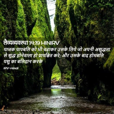 Picture 02 - लैव्यव्यवस्था 14:19 HINIRV - याजक पापबलि को भी - Bible Verse Picture