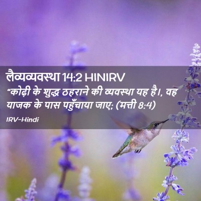 Picture 02 - लैव्यव्यवस्था 14:2 HINIRV - “कोढ़ी के शुद्ध - Bible Verse Picture