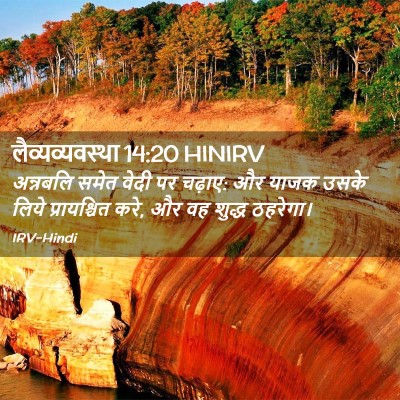 Picture 02 - लैव्यव्यवस्था 14:20 HINIRV - अन्नबलि समेत वेदी - Bible Verse Picture
