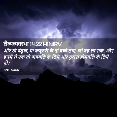 Picture 02 - लैव्यव्यवस्था 14:22 HINIRV - और दो पंडुक, या - Bible Verse Picture
