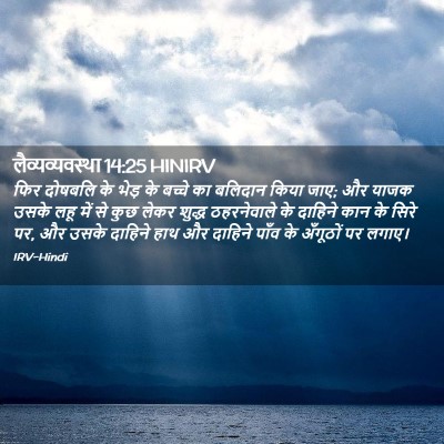 Picture 02 - लैव्यव्यवस्था 14:25 HINIRV - फिर दोषबलि के भेड़ - Bible Verse Picture