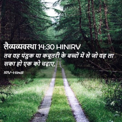 Picture 02 - लैव्यव्यवस्था 14:30 HINIRV - तब वह पंडुक या - Bible Verse Picture