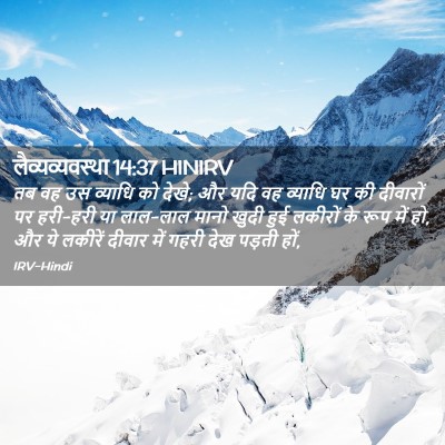 Picture 02 - लैव्यव्यवस्था 14:37 HINIRV - तब वह उस व्याधि को - Bible Verse Picture