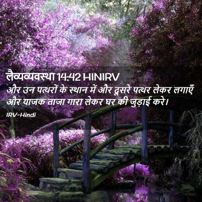 Picture 02 - लैव्यव्यवस्था 14:42 HINIRV - और उन पत्थरों के - Bible Verse Picture