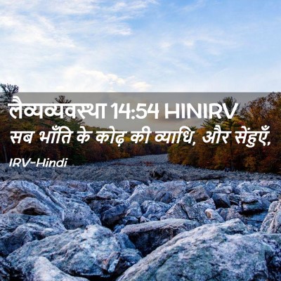 Picture 02 - लैव्यव्यवस्था 14:54 HINIRV - सब भाँति के कोढ़ की - Bible Verse Picture