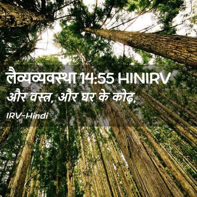 Picture 02 - लैव्यव्यवस्था 14:55 HINIRV - और वस्त्र, और घर के - Bible Verse Picture
