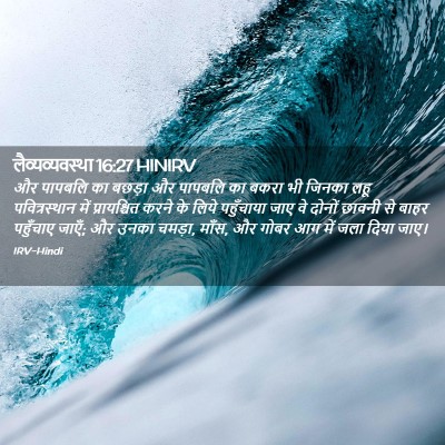 Picture 02 - लैव्यव्यवस्था 16:27 HINIRV - और पापबलि का बछड़ा - Bible Verse Picture