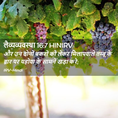 Picture 02 - लैव्यव्यवस्था 16:7 HINIRV - और उन दोनों बकरों - Bible Verse Picture