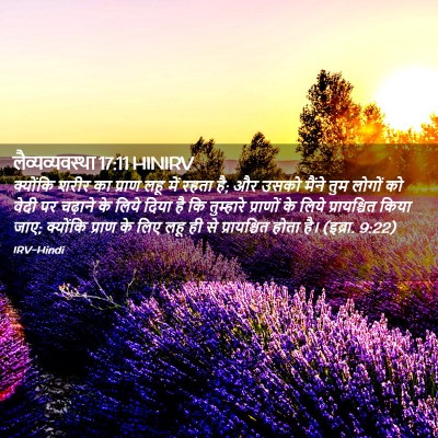 Picture 02 - लैव्यव्यवस्था 17:11 HINIRV - क्योंकि शरीर का - Bible Verse Picture