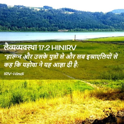 Picture 02 - लैव्यव्यवस्था 17:2 HINIRV - “हारून और उसके - Bible Verse Picture