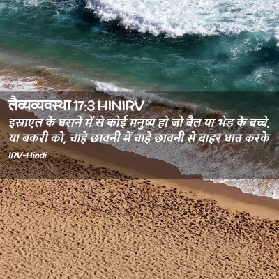 Picture 02 - लैव्यव्यवस्था 17:3 HINIRV - इस्राएल के घराने - Bible Verse Picture