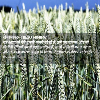 Picture 02 - लैव्यव्यवस्था 18:30 HINIRV - यह आज्ञा जो मैंने - Bible Verse Picture