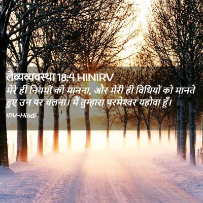 Picture 02 - लैव्यव्यवस्था 18:4 HINIRV - मेरे ही नियमों को - Bible Verse Picture