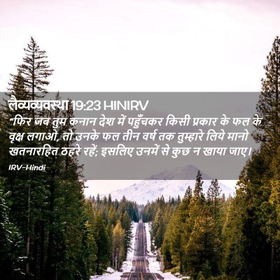 Picture 02 - लैव्यव्यवस्था 19:23 HINIRV - “फिर जब तुम कनान - Bible Verse Picture