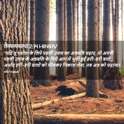 Picture 02 - लैव्यव्यवस्था 2:14 HINIRV - “यदि तू यहोवा के - Bible Verse Picture