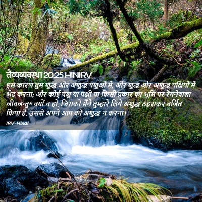 Picture 02 - लैव्यव्यवस्था 20:25 HINIRV - इस कारण तुम शुद्ध - Bible Verse Picture