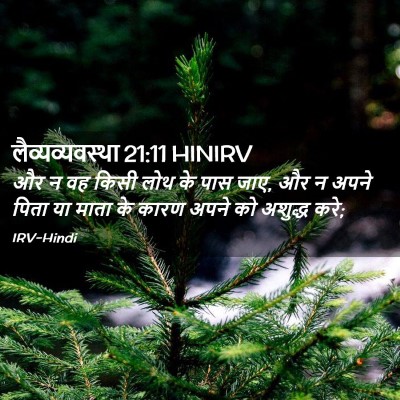 Picture 02 - लैव्यव्यवस्था 21:11 HINIRV - और न वह किसी लोथ के - Bible Verse Picture