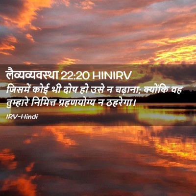 Picture 02 - लैव्यव्यवस्था 22:20 HINIRV - जिसमें कोई भी दोष - Bible Verse Picture