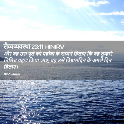 Picture 02 - लैव्यव्यवस्था 23:11 HINIRV - और वह उस पूले को - Bible Verse Picture