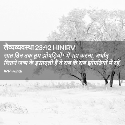 Picture 02 - लैव्यव्यवस्था 23:42 HINIRV - सात दिन तक तुम - Bible Verse Picture