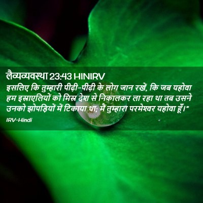 Picture 02 - लैव्यव्यवस्था 23:43 HINIRV - इसलिए कि तुम्हारी - Bible Verse Picture