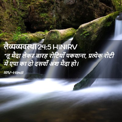 Picture 02 - लैव्यव्यवस्था 24:5 HINIRV - “तू मैदा लेकर बारह - Bible Verse Picture