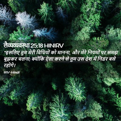 Picture 02 - लैव्यव्यवस्था 25:18 HINIRV - “इसलिए तुम मेरी - Bible Verse Picture