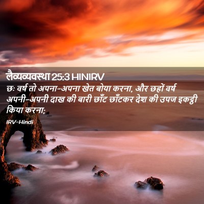 Picture 02 - लैव्यव्यवस्था 25:3 HINIRV - छः वर्ष तो - Bible Verse Picture
