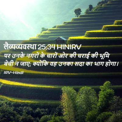 Picture 02 - लैव्यव्यवस्था 25:34 HINIRV - पर उनके नगरों के - Bible Verse Picture