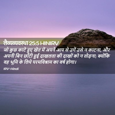 Picture 02 - लैव्यव्यवस्था 25:5 HINIRV - जो कुछ काटे हुए खेत - Bible Verse Picture