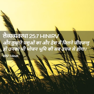 Picture 02 - लैव्यव्यवस्था 25:7 HINIRV - और तुम्हारे पशुओं - Bible Verse Picture