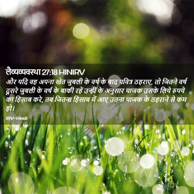 Picture 02 - लैव्यव्यवस्था 27:18 HINIRV - और यदि वह अपना खेत - Bible Verse Picture