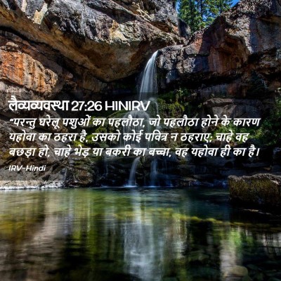 Picture 02 - लैव्यव्यवस्था 27:26 HINIRV - “परन्तु घरेलू - Bible Verse Picture