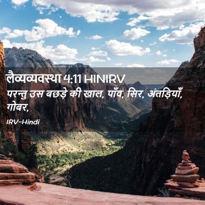 Picture 02 - लैव्यव्यवस्था 4:11 HINIRV - परन्तु उस बछड़े की - Bible Verse Picture
