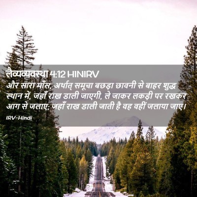Picture 02 - लैव्यव्यवस्था 4:12 HINIRV - और सारा माँस, - Bible Verse Picture