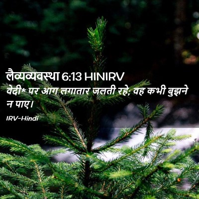 Picture 02 - लैव्यव्यवस्था 6:13 HINIRV - वेदी* पर आग लगातार - Bible Verse Picture