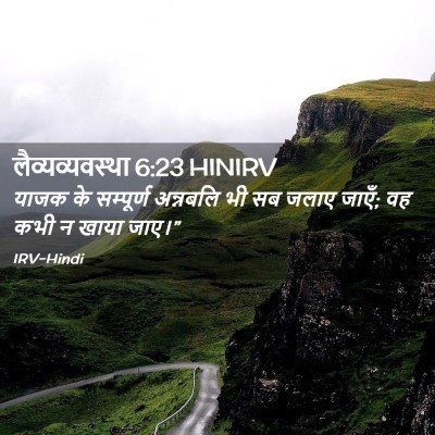 Picture 02 - लैव्यव्यवस्था 6:23 HINIRV - याजक के सम्पूर्ण - Bible Verse Picture