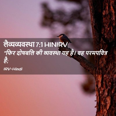 Picture 02 - लैव्यव्यवस्था 7:1 HINIRV - “फिर दोषबलि की - Bible Verse Picture