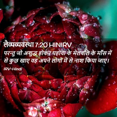 Picture 02 - लैव्यव्यवस्था 7:20 HINIRV - परन्तु जो अशुद्ध - Bible Verse Picture