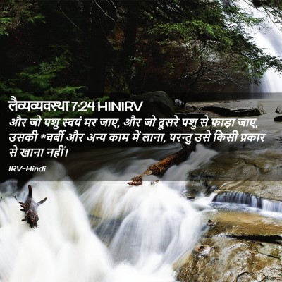 Picture 02 - लैव्यव्यवस्था 7:24 HINIRV - और जो पशु स्वयं मर - Bible Verse Picture
