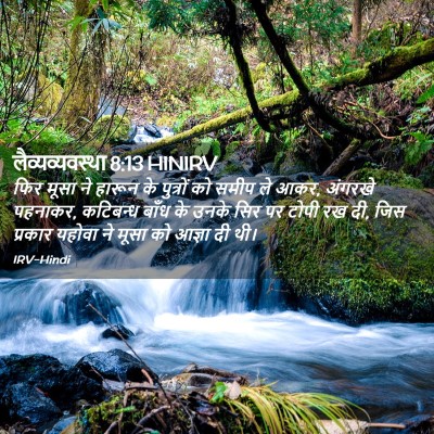 Picture 02 - लैव्यव्यवस्था 8:13 HINIRV - फिर मूसा ने हारून - Bible Verse Picture