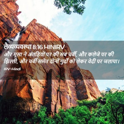 Picture 02 - लैव्यव्यवस्था 8:16 HINIRV - और मूसा ने - Bible Verse Picture