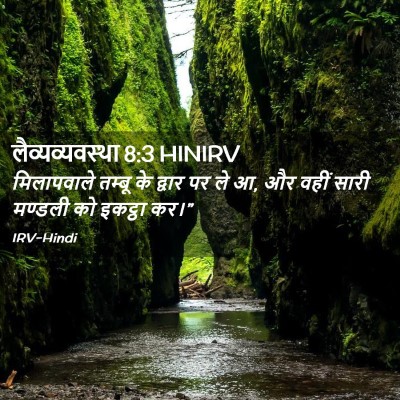 Picture 02 - लैव्यव्यवस्था 8:3 HINIRV - मिलापवाले तम्बू - Bible Verse Picture