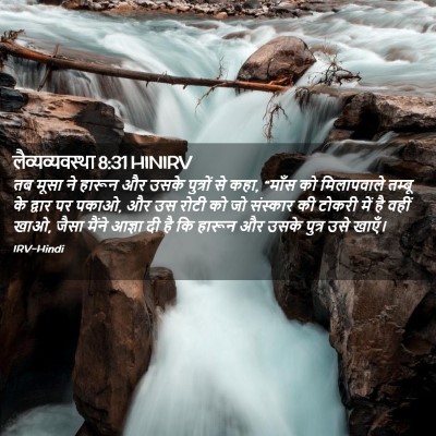 Picture 02 - लैव्यव्यवस्था 8:31 HINIRV - तब मूसा ने हारून और - Bible Verse Picture