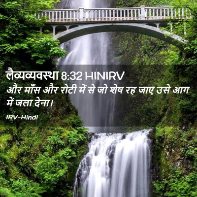 Picture 02 - लैव्यव्यवस्था 8:32 HINIRV - और माँस और रोटी में - Bible Verse Picture