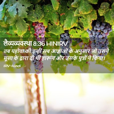 Picture 02 - लैव्यव्यवस्था 8:36 HINIRV - तब यहोवा की इन्हीं - Bible Verse Picture