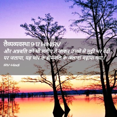 Picture 02 - लैव्यव्यवस्था 9:17 HINIRV - और अन्नबलि को भी - Bible Verse Picture