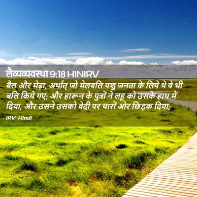 Picture 02 - लैव्यव्यवस्था 9:18 HINIRV - बैल और मेढ़ा, - Bible Verse Picture